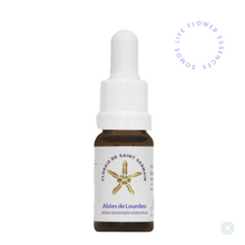 Load image into Gallery viewer, Abies de Lourdes