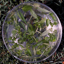 Load image into Gallery viewer, Green Essence