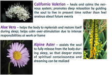 Load image into Gallery viewer, Flora-Sleep Flower Essence and Essential Oil Herbal Supplement