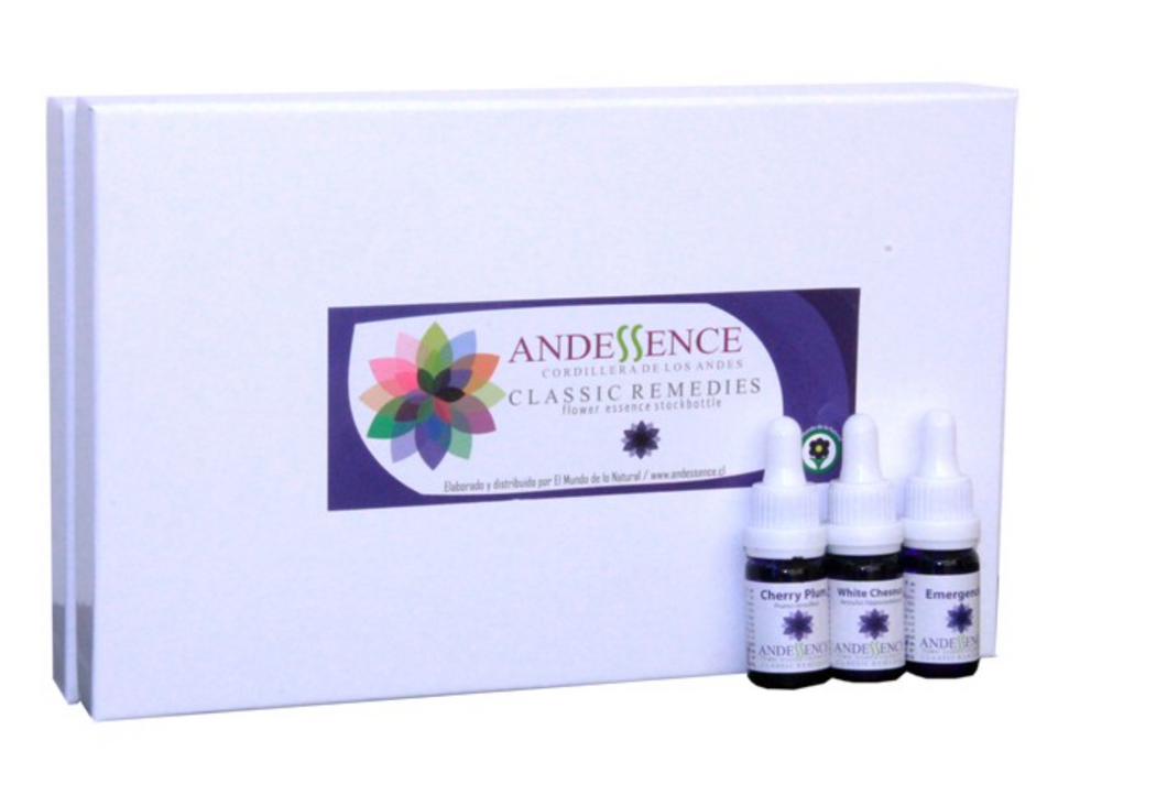 Set  Classic English Flower Essences  by Andessence