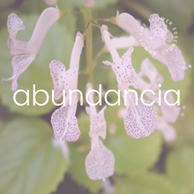 Load image into Gallery viewer, Abundancia / Abundance
