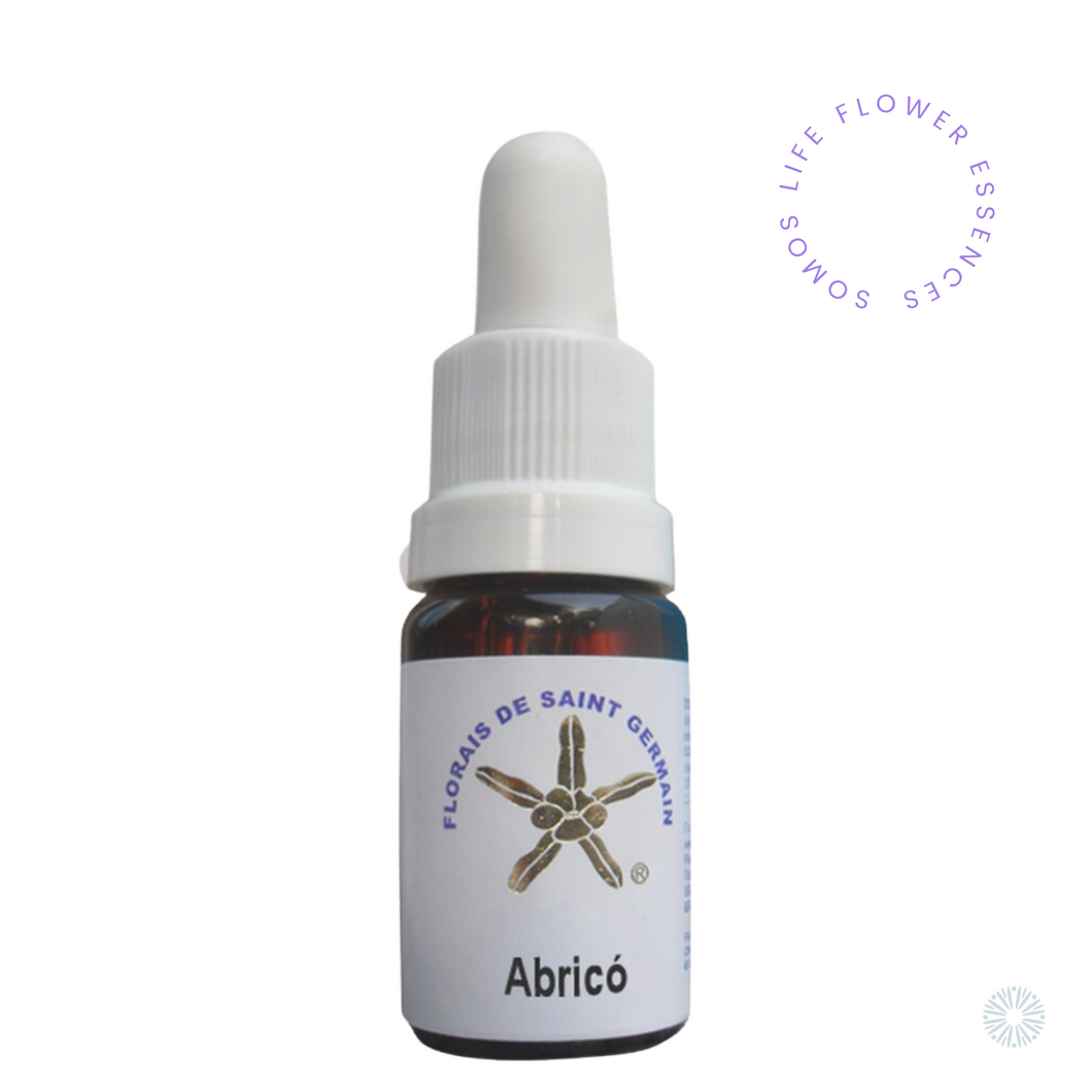 Abrico