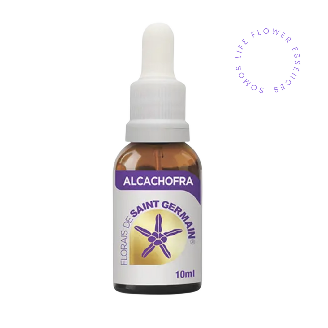 Alcachofra
