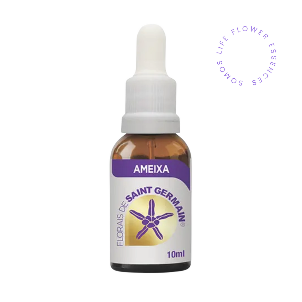 Ameixa