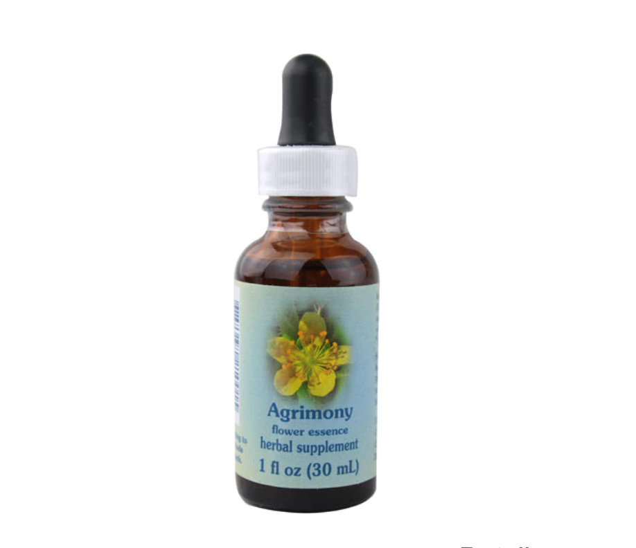 Agrimony // Agrimonia eupatoria