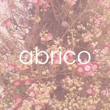 Load image into Gallery viewer, Abrico
