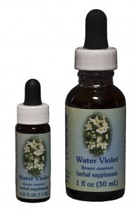 Water Violet// Hottonia palustris
